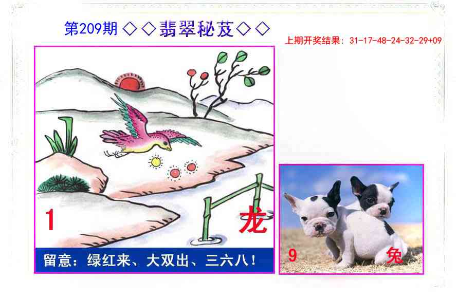 209期翡翠报[图]