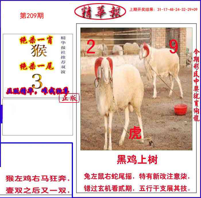209期新精华报报[图]