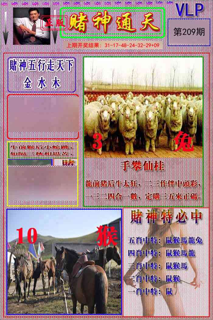 209期赌神通天报[图]