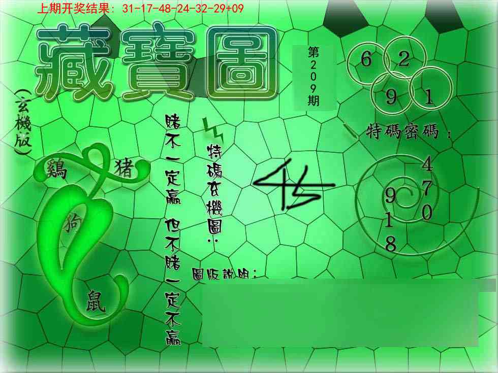 209期九龍玄机报[图]