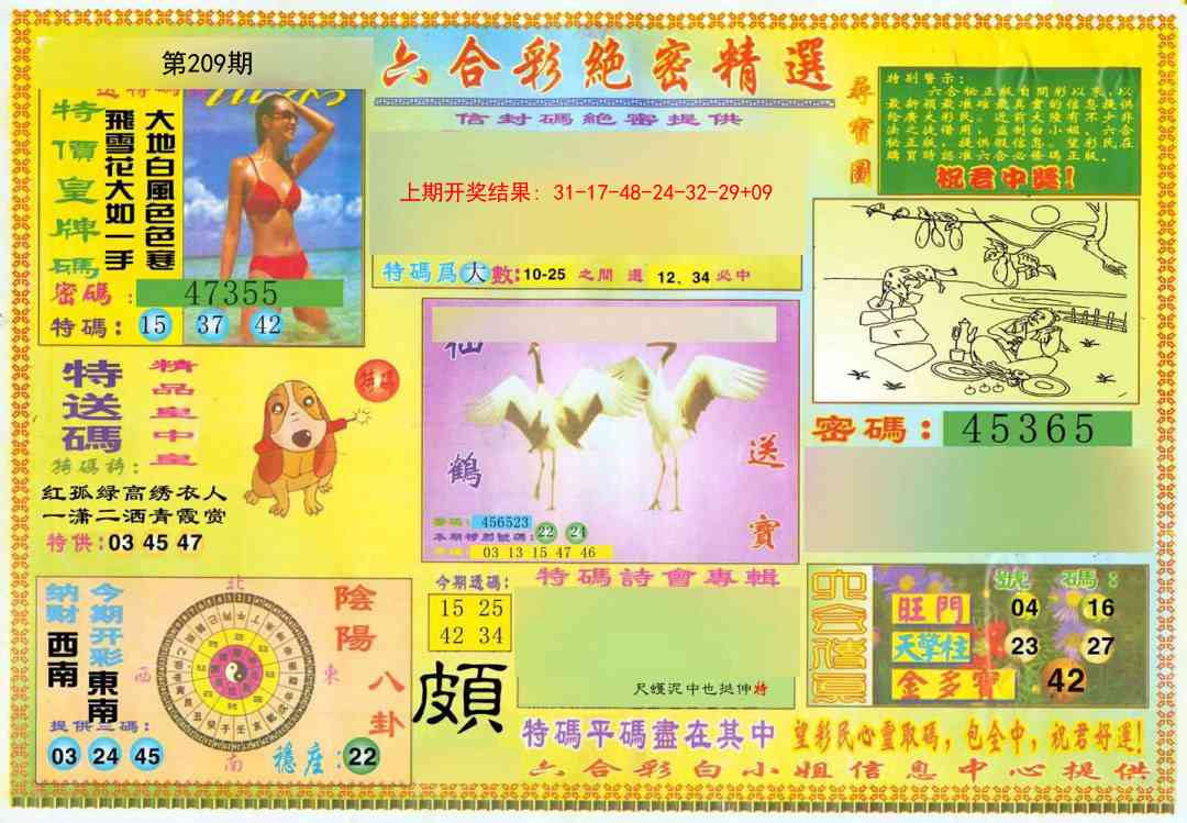 209期绝密精选A[图]