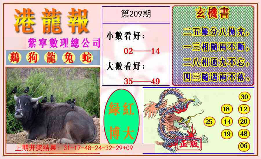 209期港龙报[图]