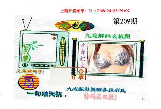 209期九龙报[图]