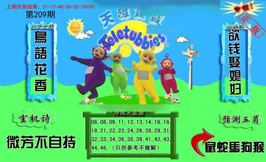 209期新天线宝宝(2006二版)[图]