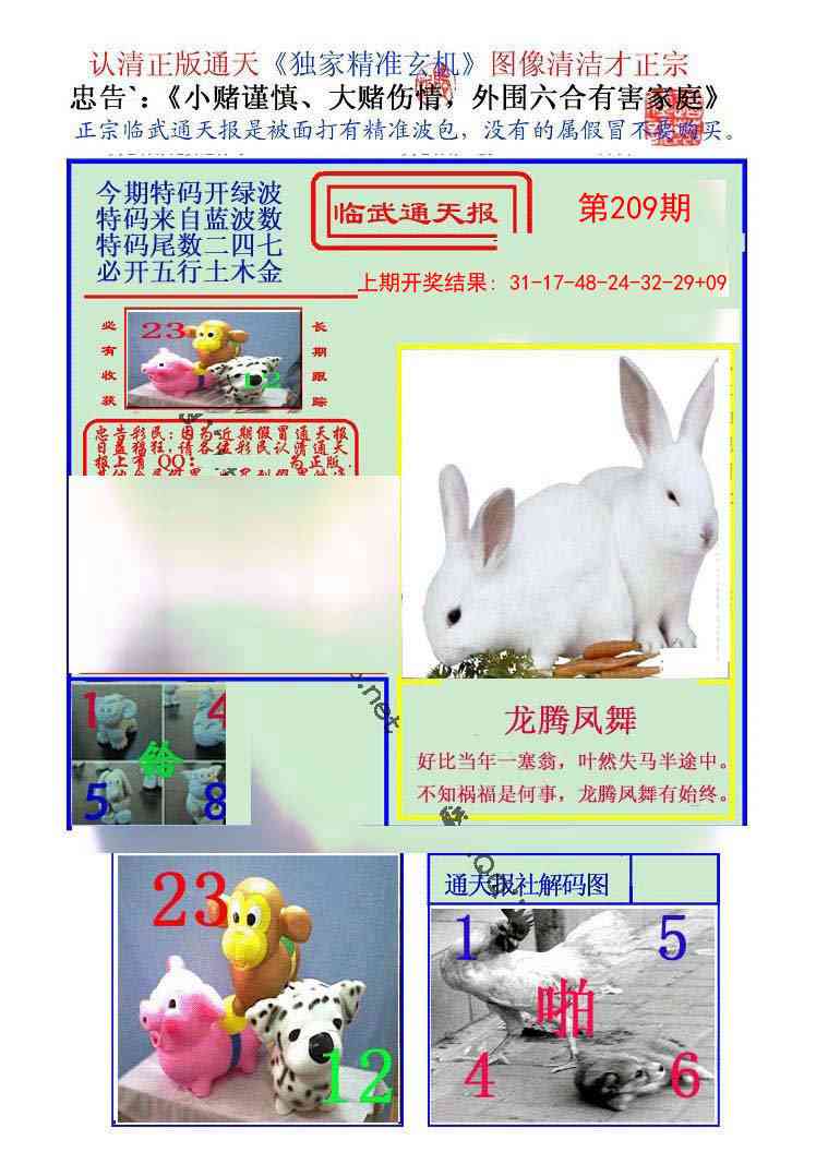 209期临武通天报[图]