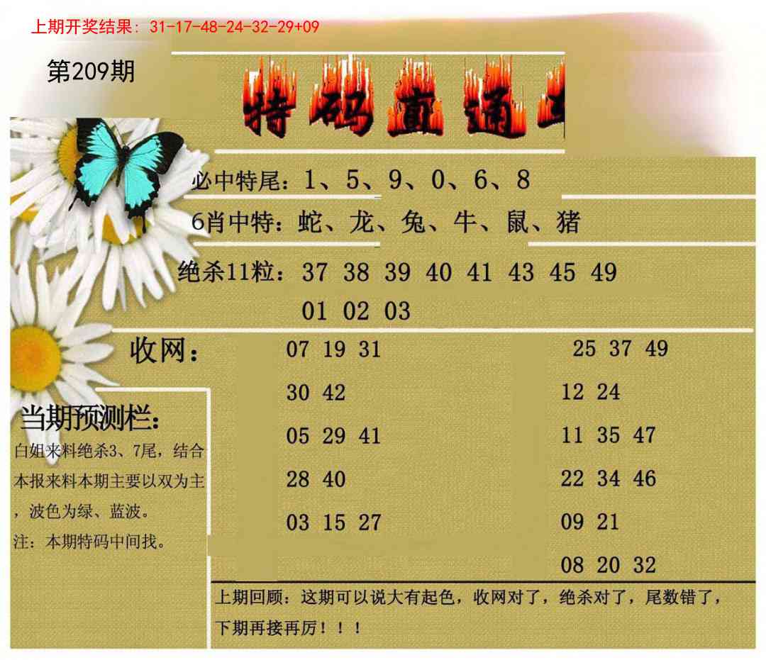 209期特码直通车[图]