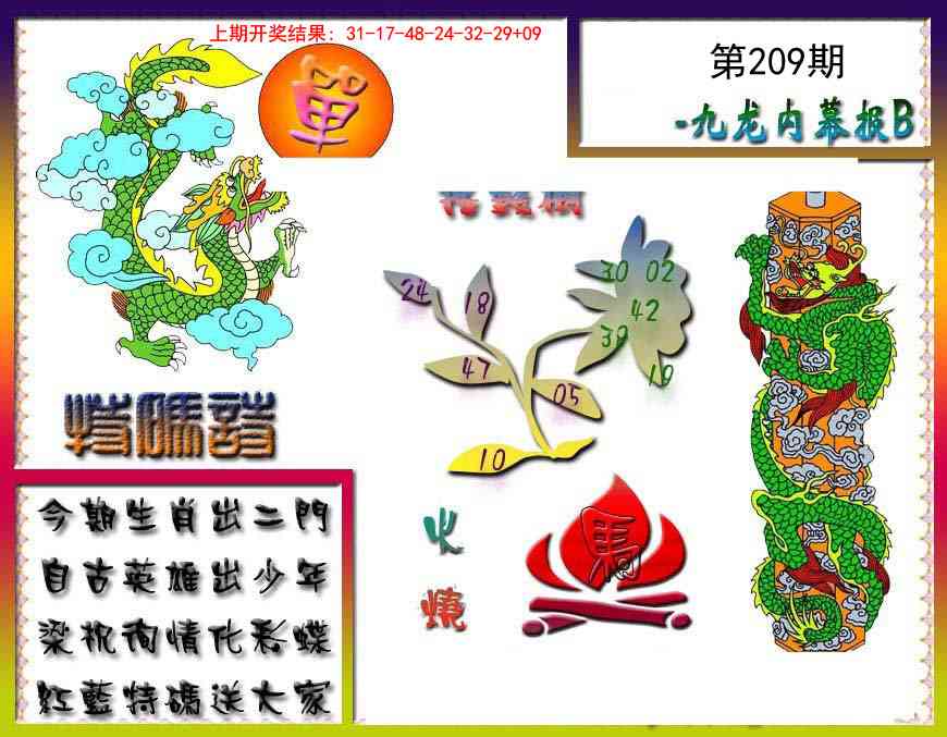 209期九龙内幕特肖图a[图]