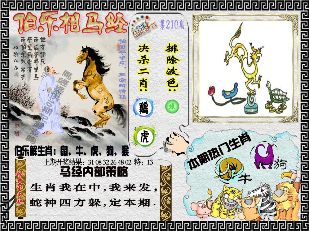 210期伯乐相马经[图]