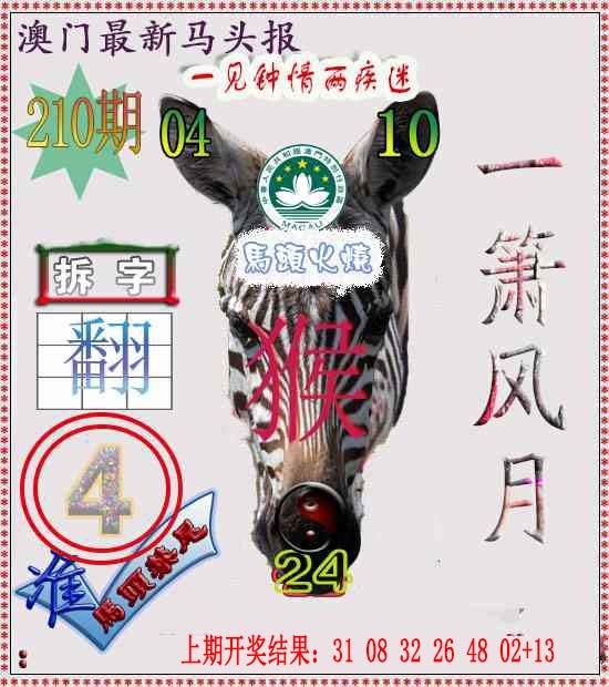 210期马头报[图]