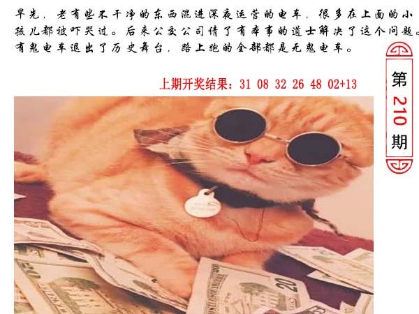 210期澳门生活幽默[图]
