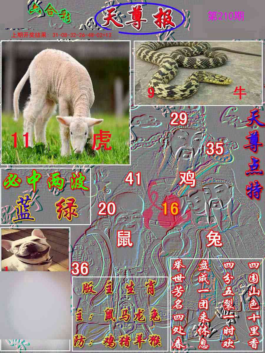 210期天尊报[图]