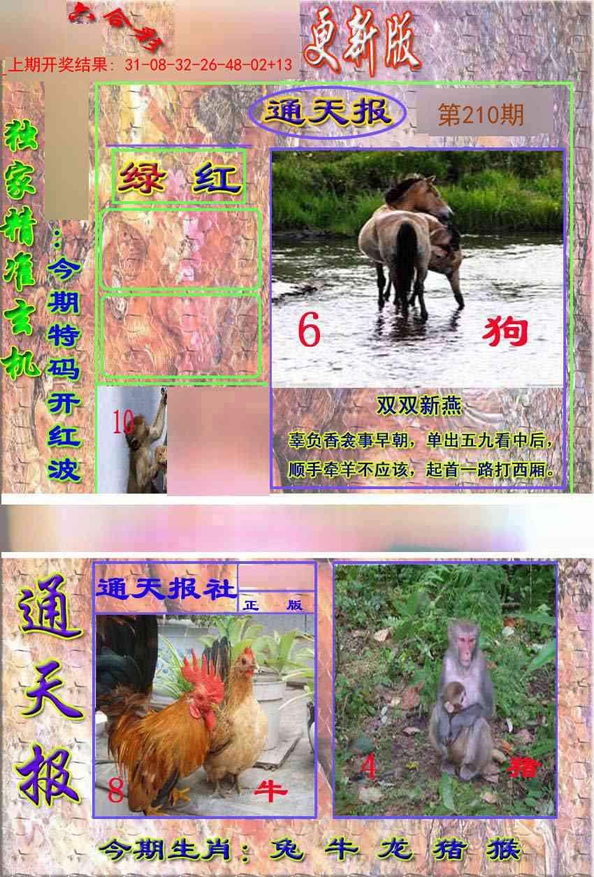 210期新通报[图]
