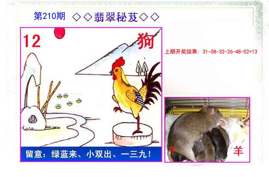 210期翡翠报[图]