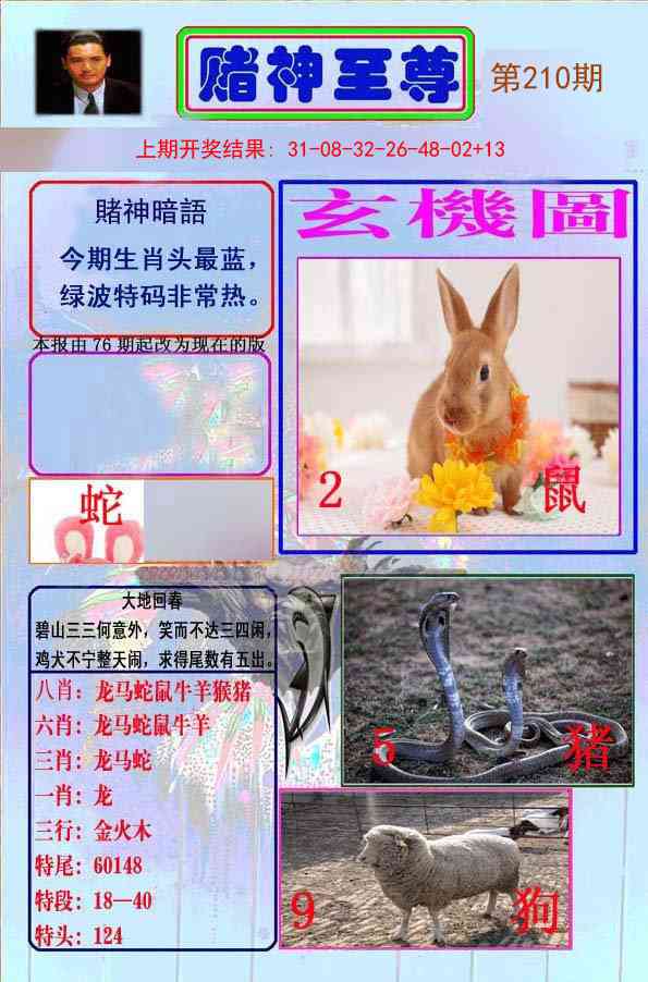 210期赌神至尊[图]