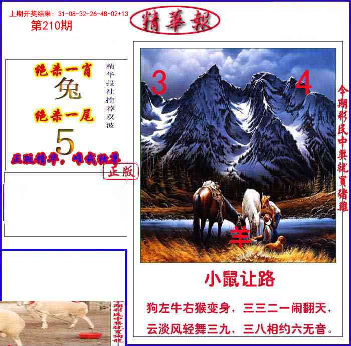 210期新精华报报[图]