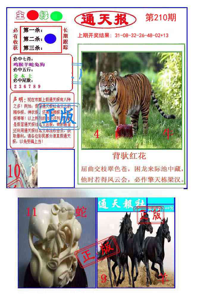 210期通天杀波图1[图]