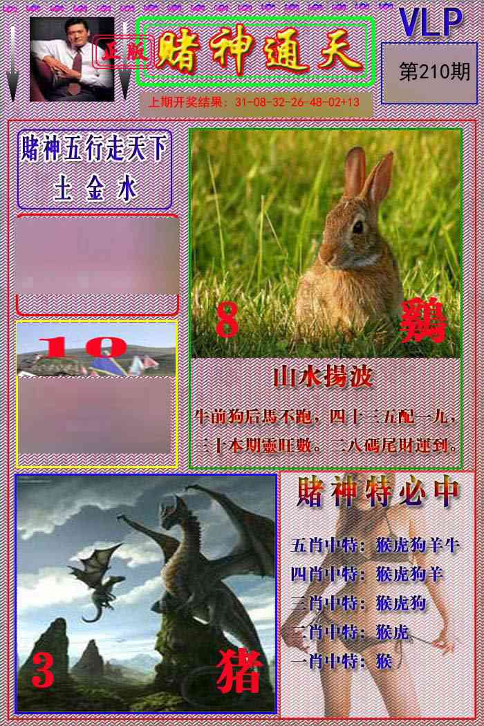 210期赌神通天报[图]
