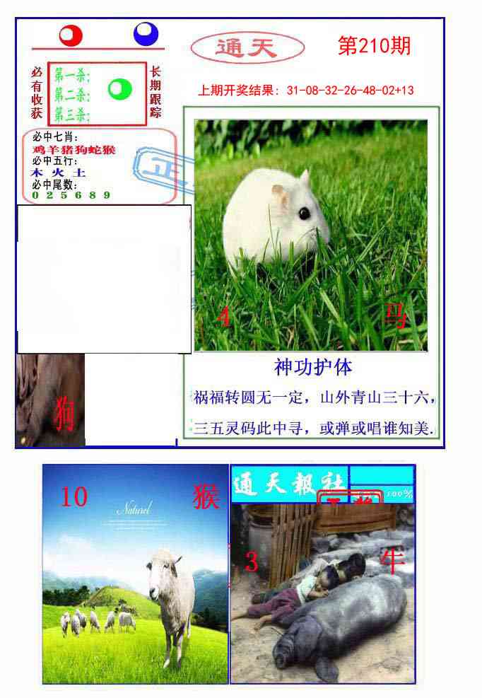 210期通天杀波图2[图]