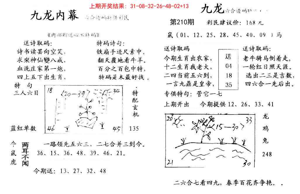 210期九龙内幕[图]