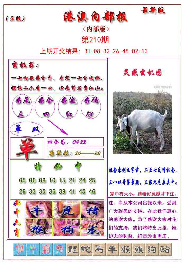 210期港澳报[图]