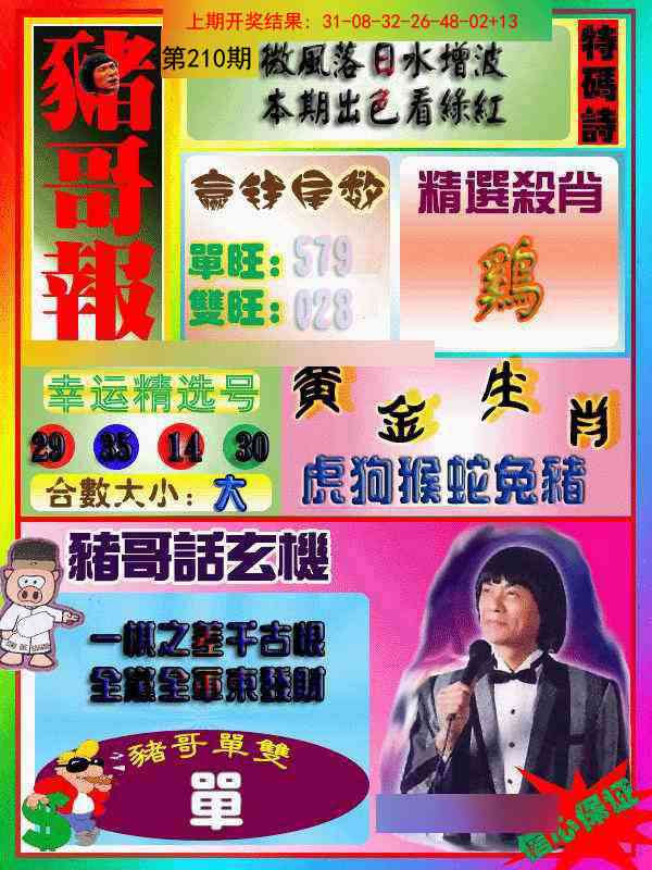 210期猪哥报[图]