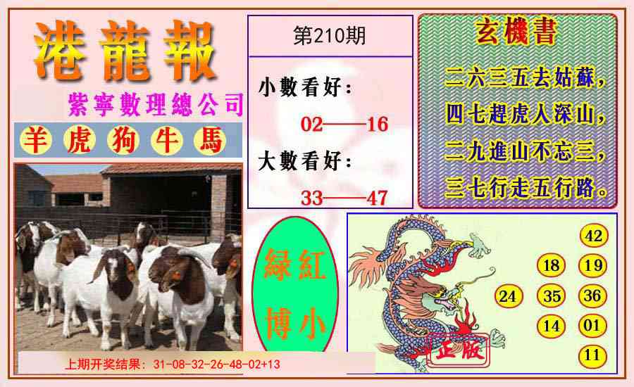 210期港龙报[图]