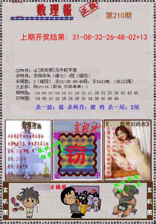 210期数理报[图]