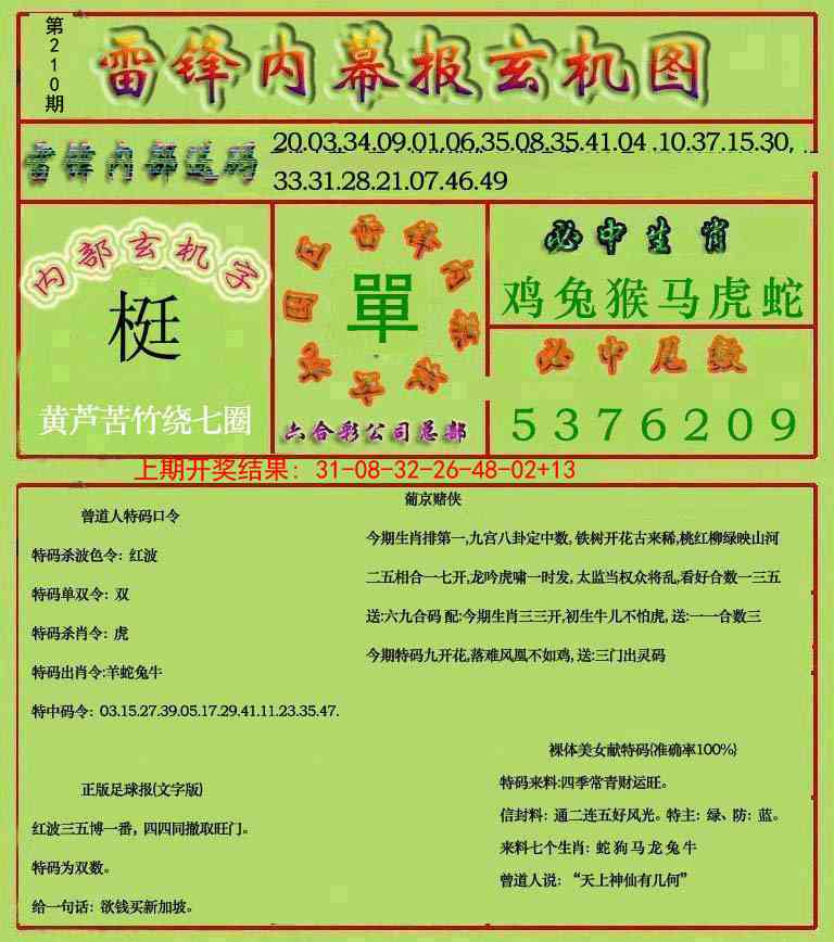 210期雷锋玄机报[图]