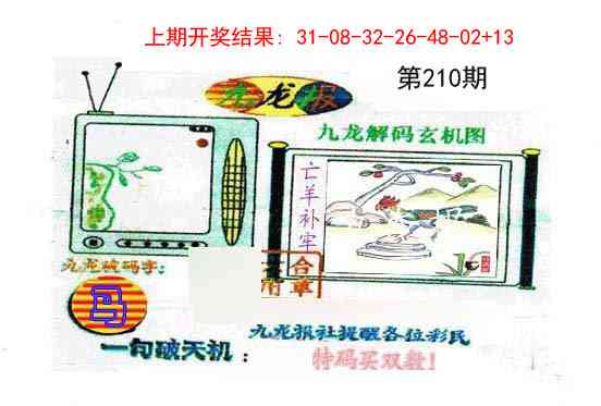 210期九龙报[图]