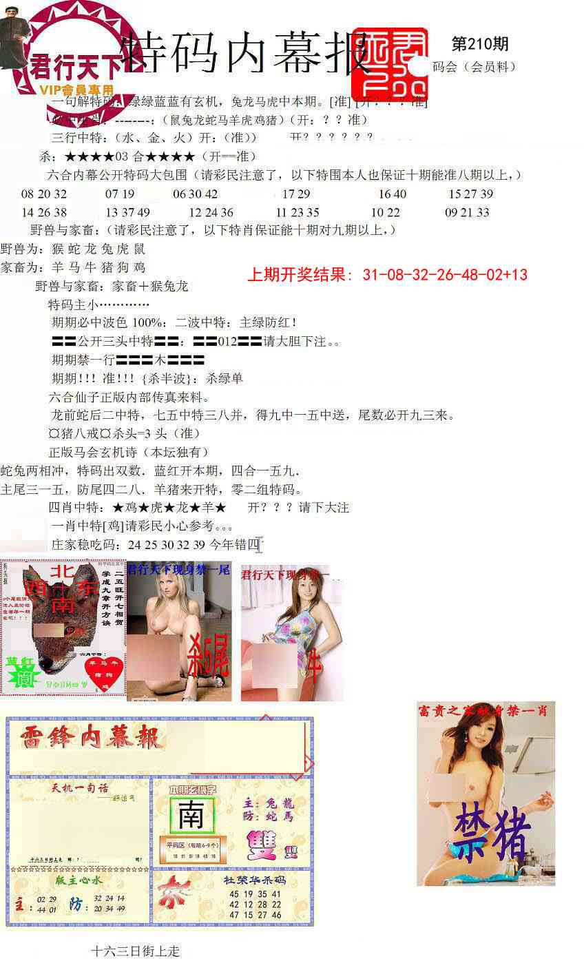 210期特码内幕报[图]