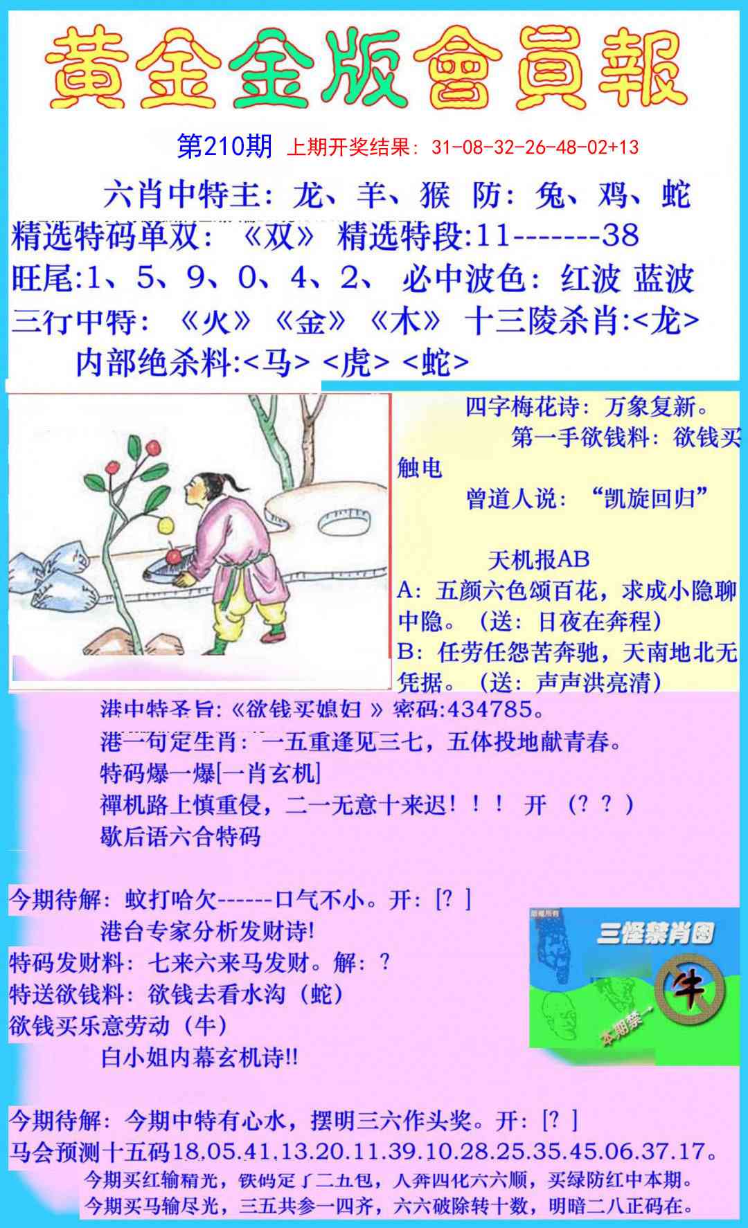 210期黄金金版会员报[图]
