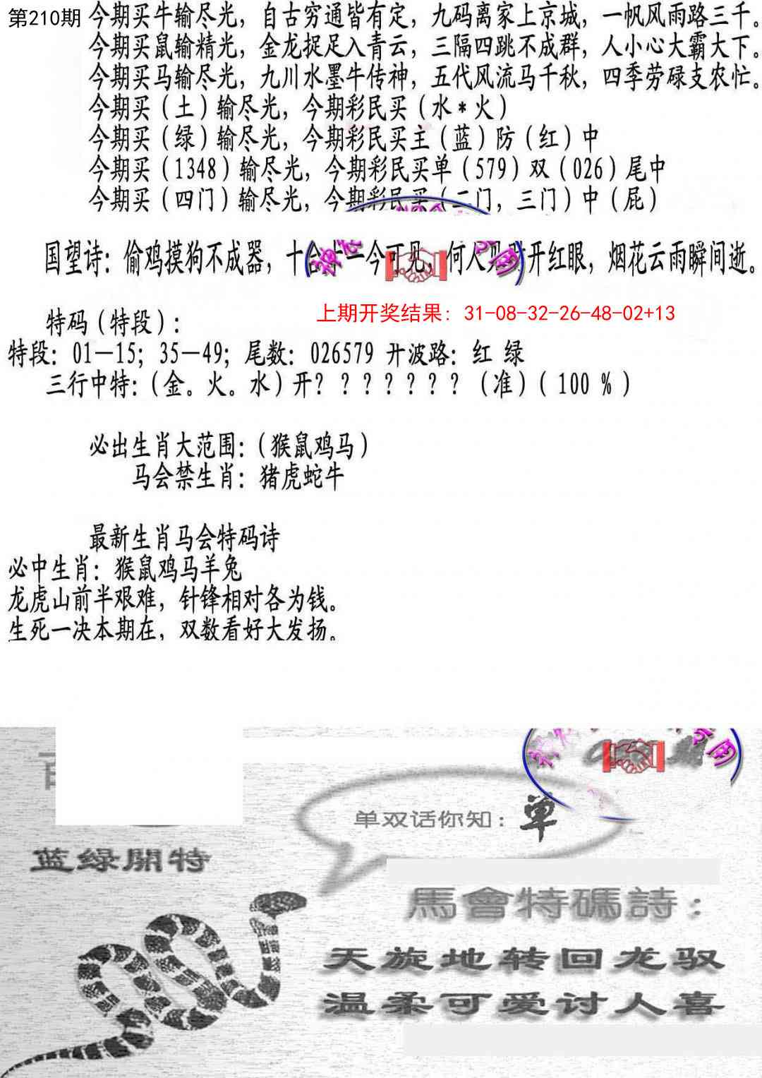 210期蛇报B[图]