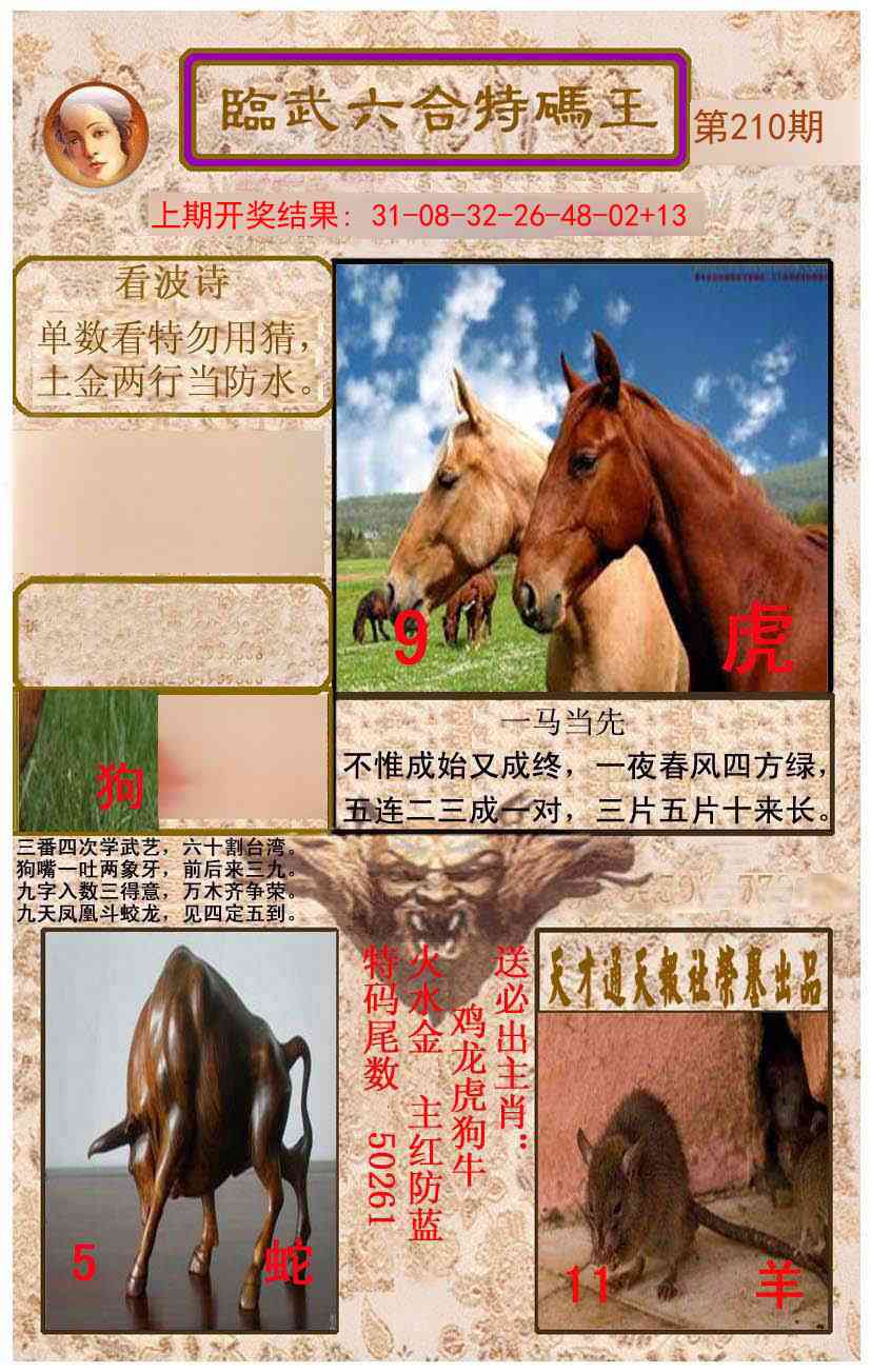 210期临武六合特码王[图]