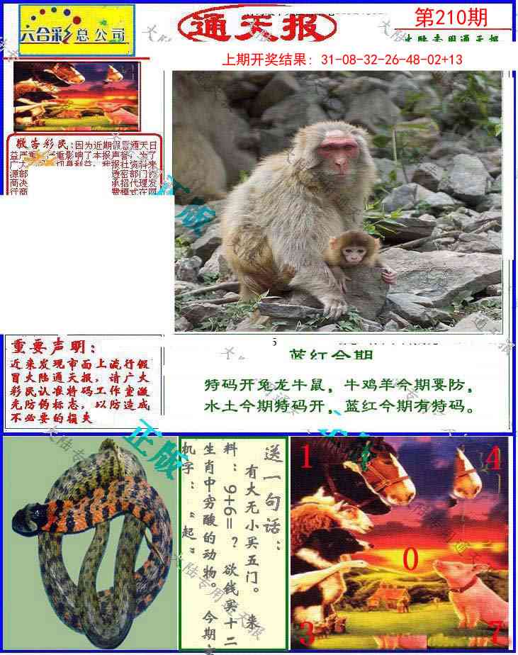 210期大陆通天报[图]