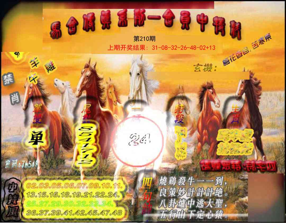 210期马会传真-会员报[图]