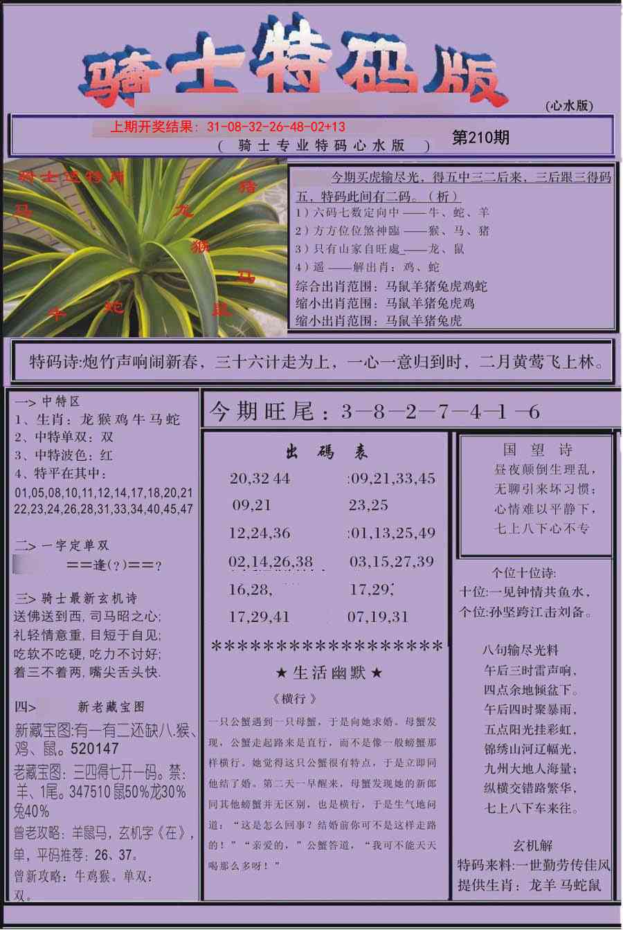 210期骑士特码版[图]