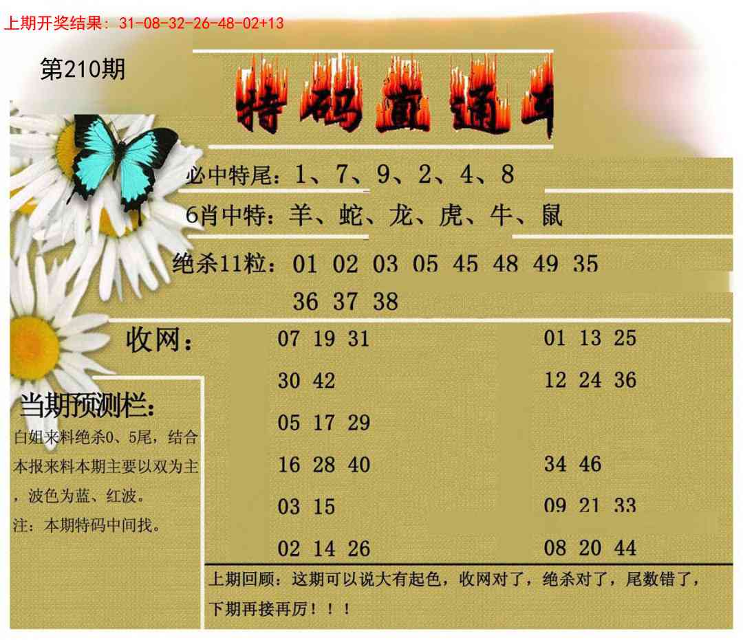 210期特码直通车[图]