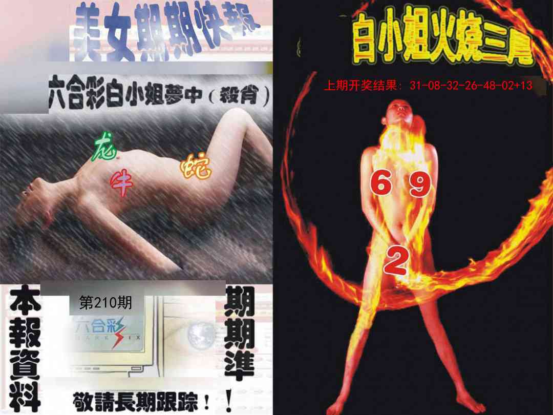 210期环球美女特码报[图]