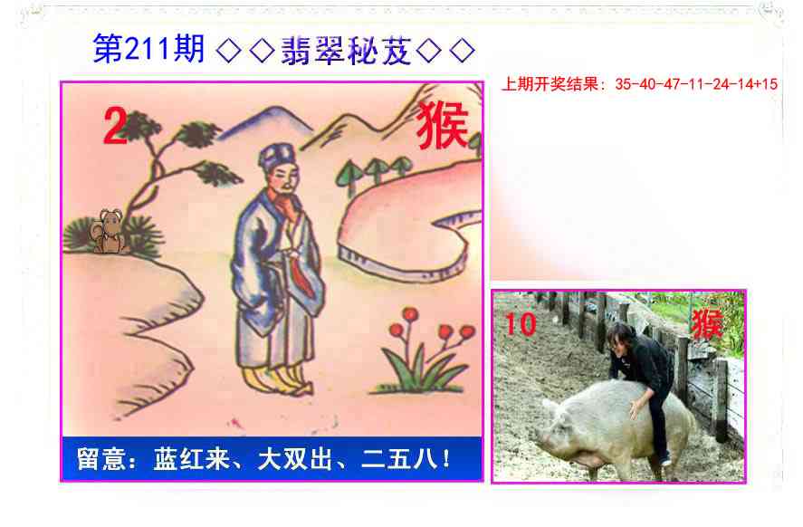 211期翡翠报[图]