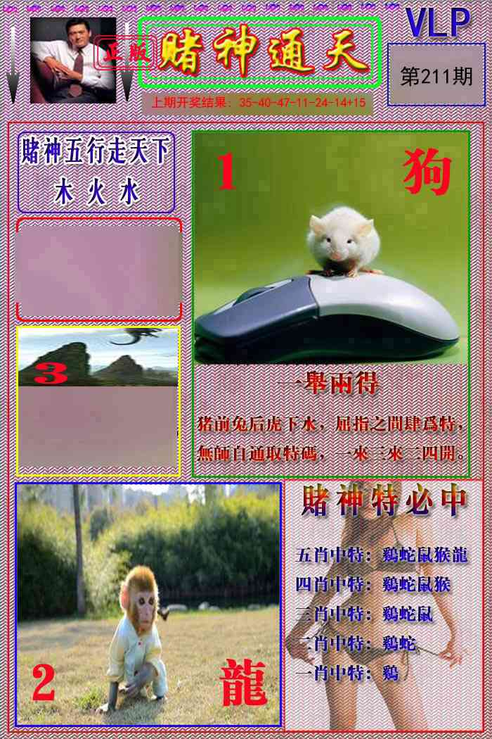 211期赌神通天报[图]