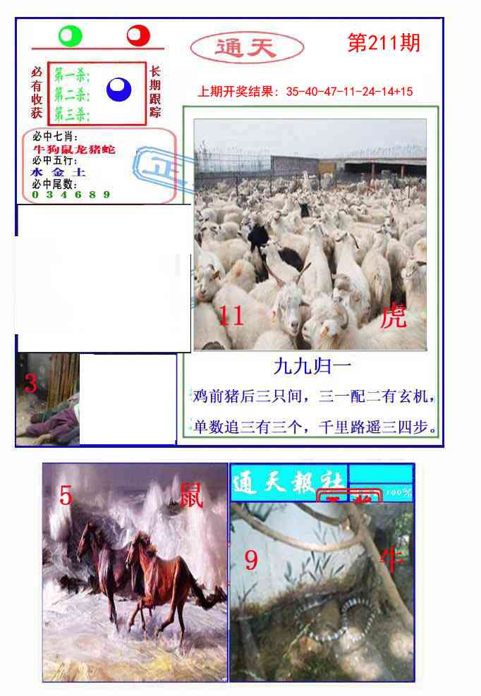 211期通天杀波图2[图]