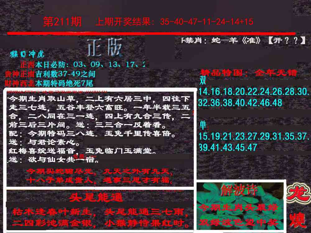 211期新港内幕[图]