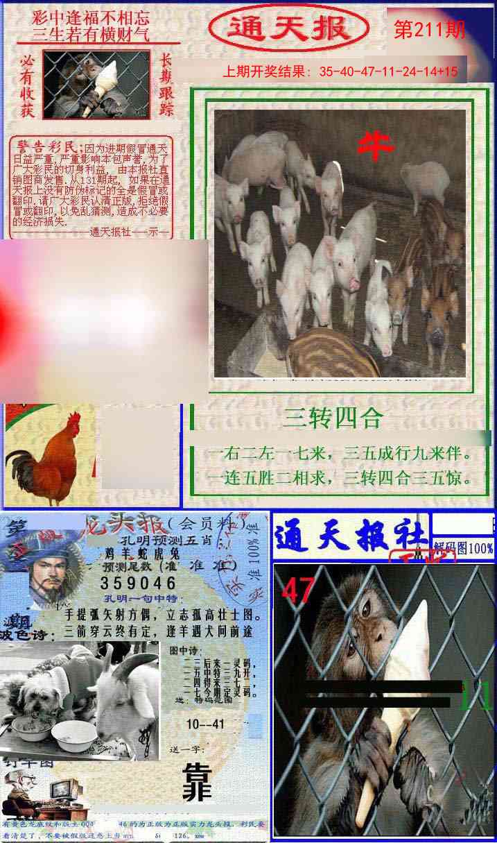 211期实力通天报[图]