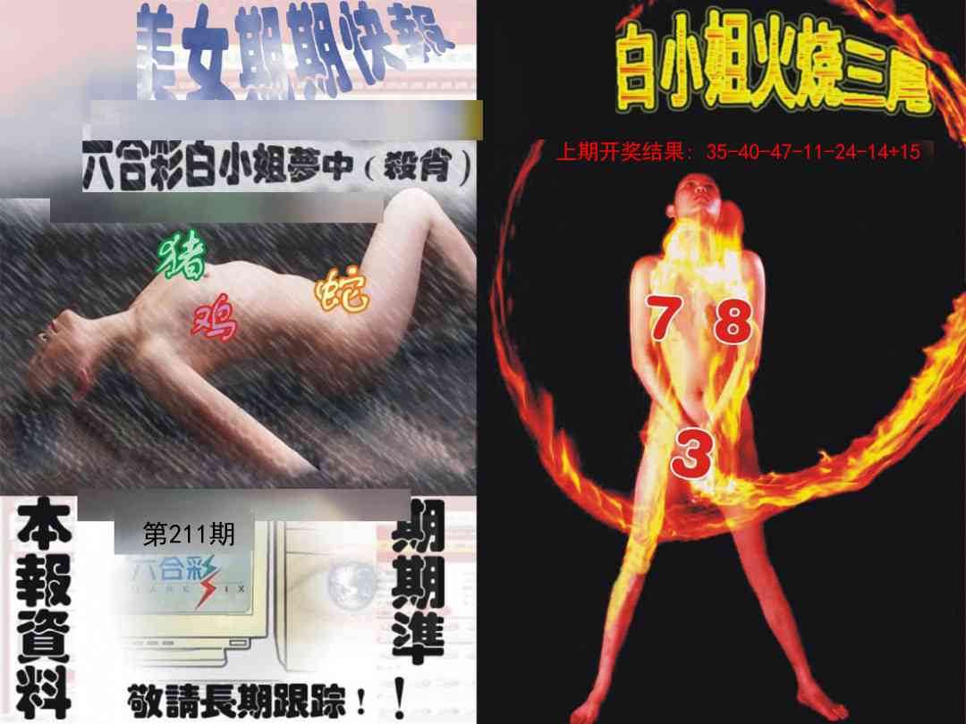 211期环球美女特码报[图]