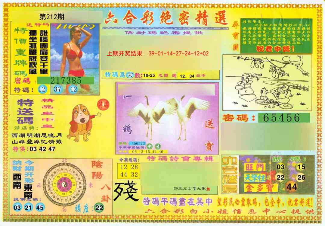 212期绝密精选A[图]