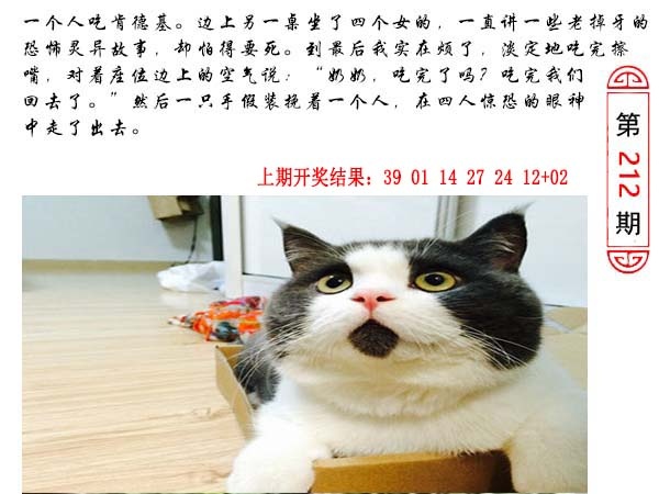 212期澳门生活幽默[图]
