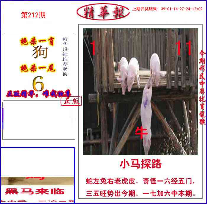 212期新精华报报[图]