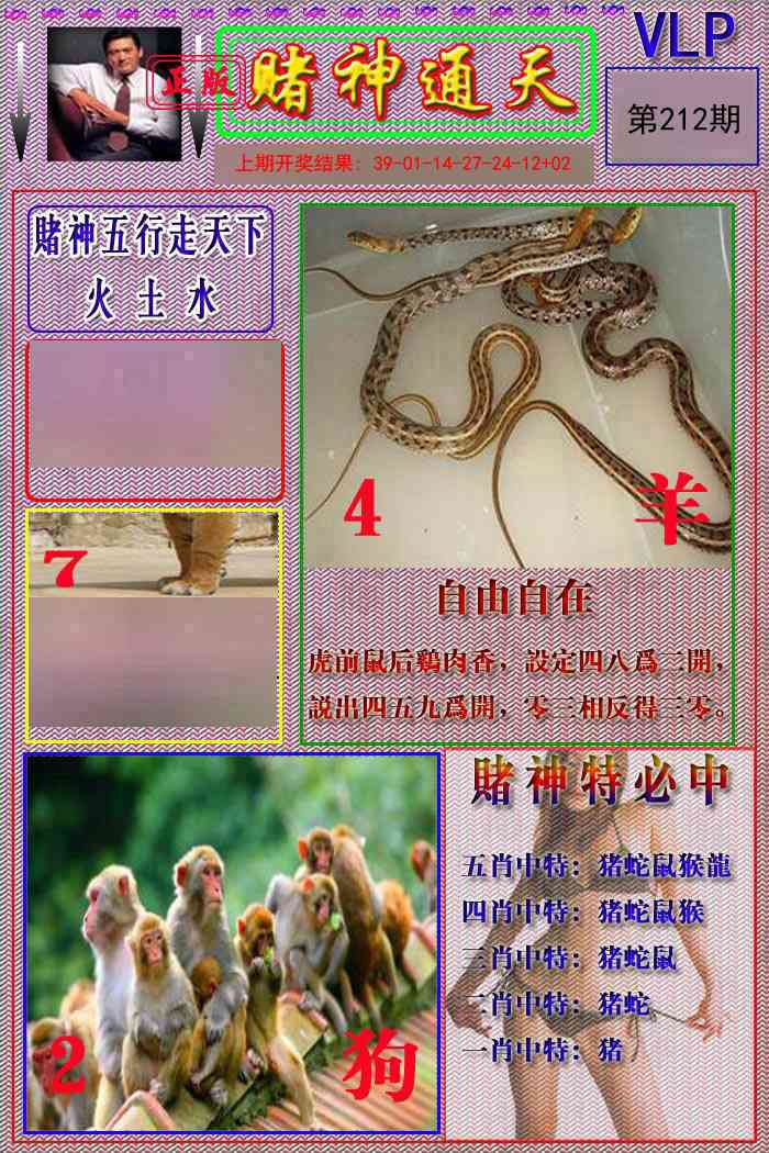 212期赌神通天报[图]