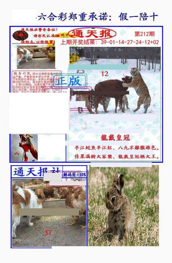 212期假一陪十通天报[图]