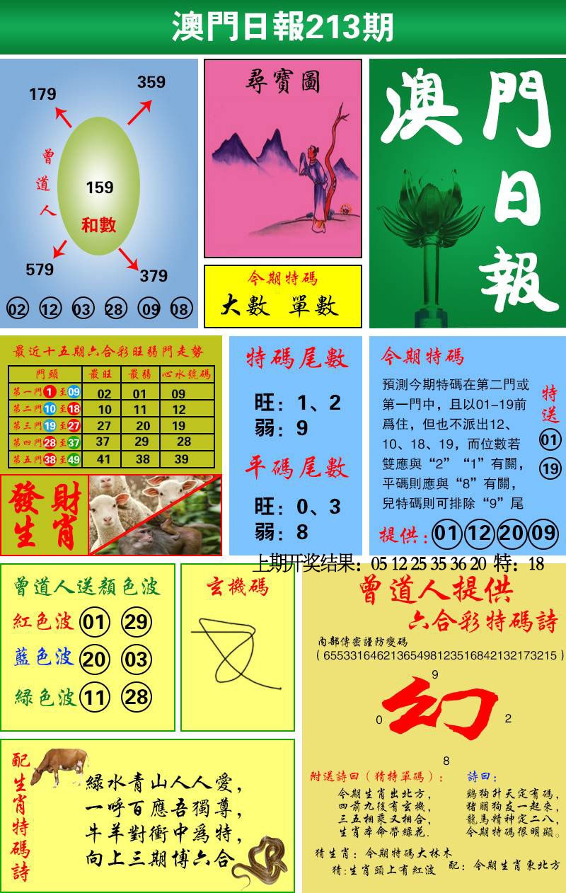213期澳门日报[图]